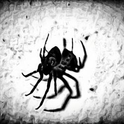 Close-up of built structure