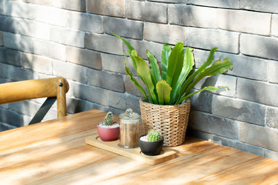 Potted plants on table against wall at home