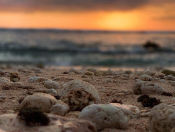 Rocks on beach during sunset