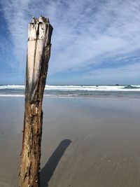 Wooden posts on beach