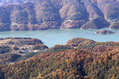 Scenic view of lake in forest during autumn