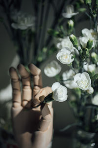 Close-up of white flowering plant