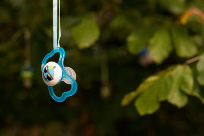 Close-up of toy hanging on rope