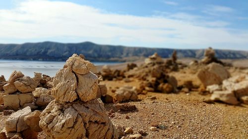 Surface level of rocks