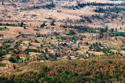 High angle view of agricultural field