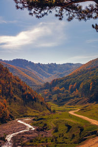 Scenic view of field against sky during autumn