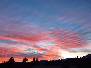Silhouette of trees at sunset