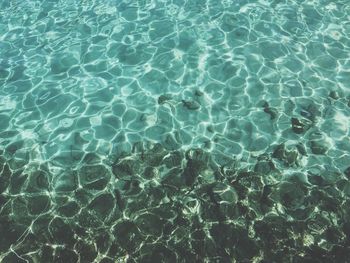 Full frame shot of swimming pool