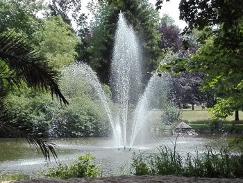 Water splashing in fountain against trees