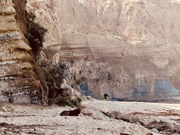 Low angle view of man on rock formation in cave