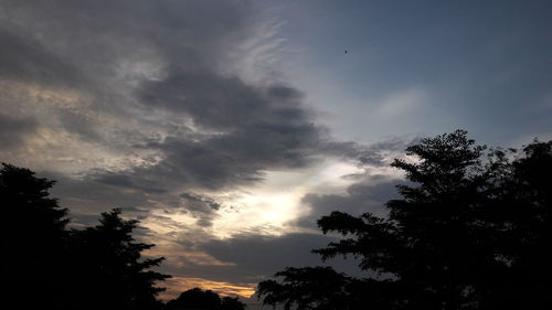 Low angle view of silhouette trees against sky during sunset