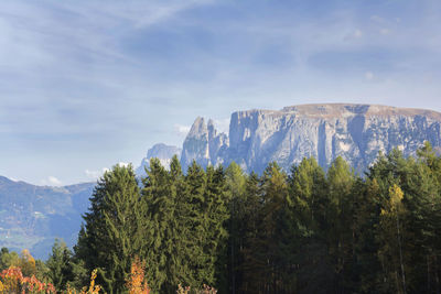 Panoramic view of trees and mountains against sky