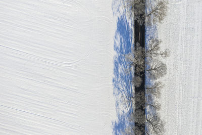 Drone view of snow covered field and treelined road in winter