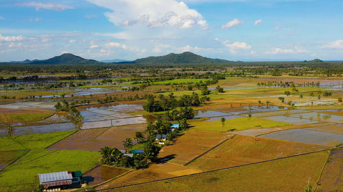 Rice fields are flooded with water. tropical landscape with fertile soil. leyte island, philippines.