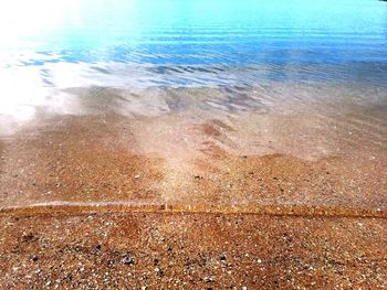 Close-up of sea shore