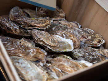 Close-up of fish for sale