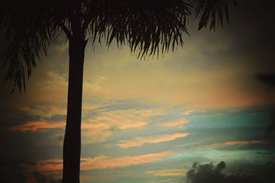 Silhouette palm trees against sky during sunset