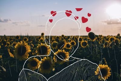 Close-up of sunflower on field against sky