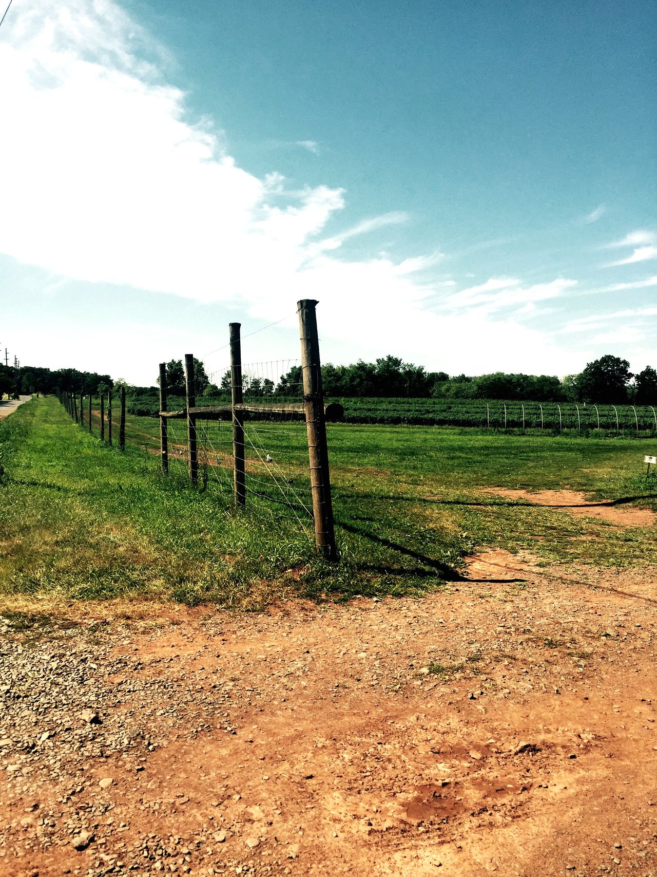 Honey Brook Organic Farm