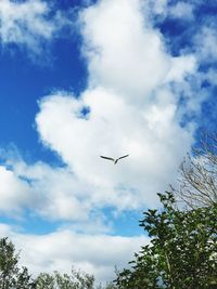 Low angle view of birds flying in sky