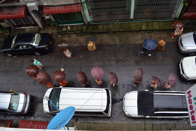 High angle view of birds on street