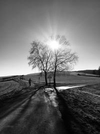 Crossing path, shadow play, sun shines through tree