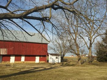 Bare trees on field by house against sky