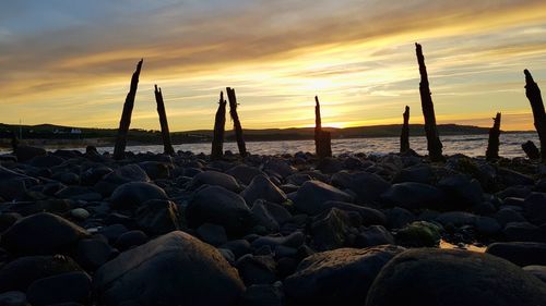 Close-up of pebbles at beach against sky during sunset