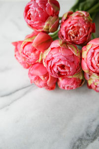 Close-up of pink roses on table