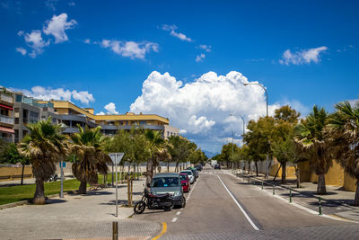 Long empty road along trees