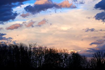 Low angle view of silhouette trees against sky during sunset