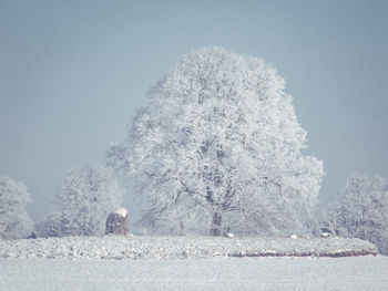 winter