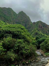 Scenic view of green landscape against sky