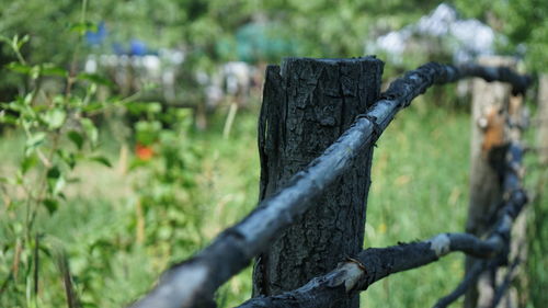 Close-up of wooden fence on field
