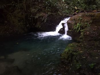 Scenic view of waterfall in forest