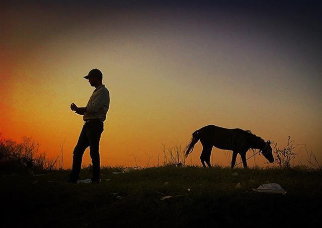 SILHOUETTE OF WOMAN STANDING ON FIELD AT SUNSET