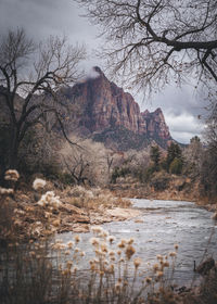 A river between mountains in zion national park, utah