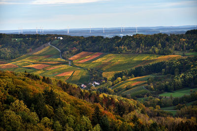 High angle view of an autumnal landscape 