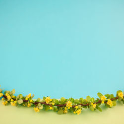 Close-up of yellow flowers against blue background