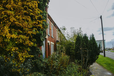 Footpath amidst plants and buildings against sky