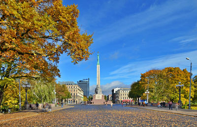 View of trees in city during autumn