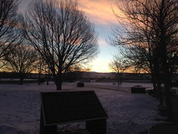 Bare trees against sky at sunset