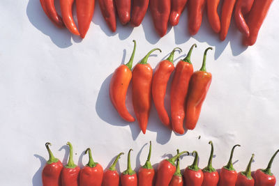 High angle view of red chili peppers on table