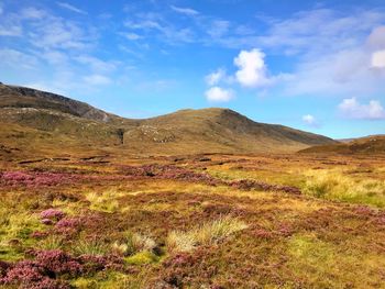 Scenic view of landscape against sky