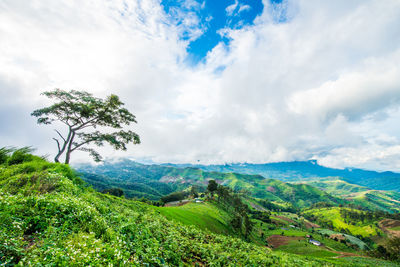 Scenic view of landscape against sky