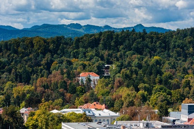 Trees and townscape against sky