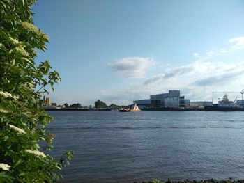 Scenic view of sea by buildings against sky