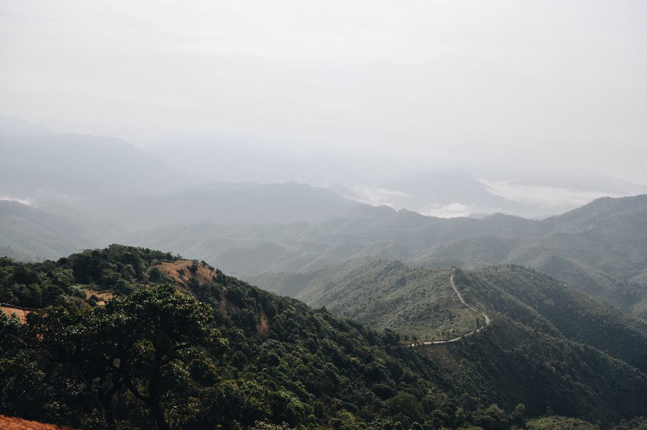 mountain, scenics - nature, beauty in nature, mountain range, tranquil scene, environment, landscape, tranquility, sky, non-urban scene, nature, idyllic, tree, no people, day, fog, plant, land, valley, remote, outdoors