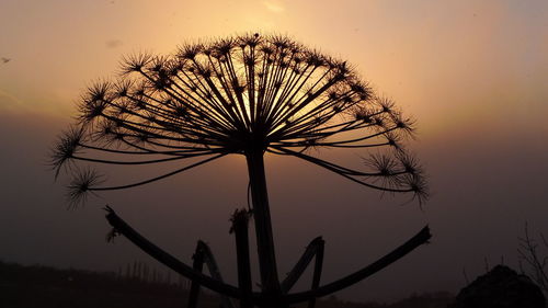 Low angle view of silhouette tree against sky at sunset