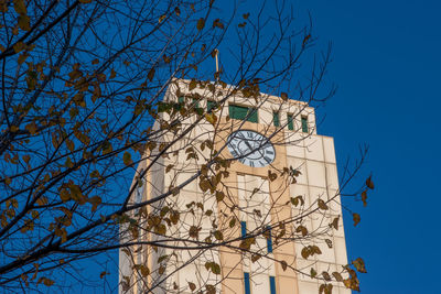 Low angle view of tree and building against blue sky